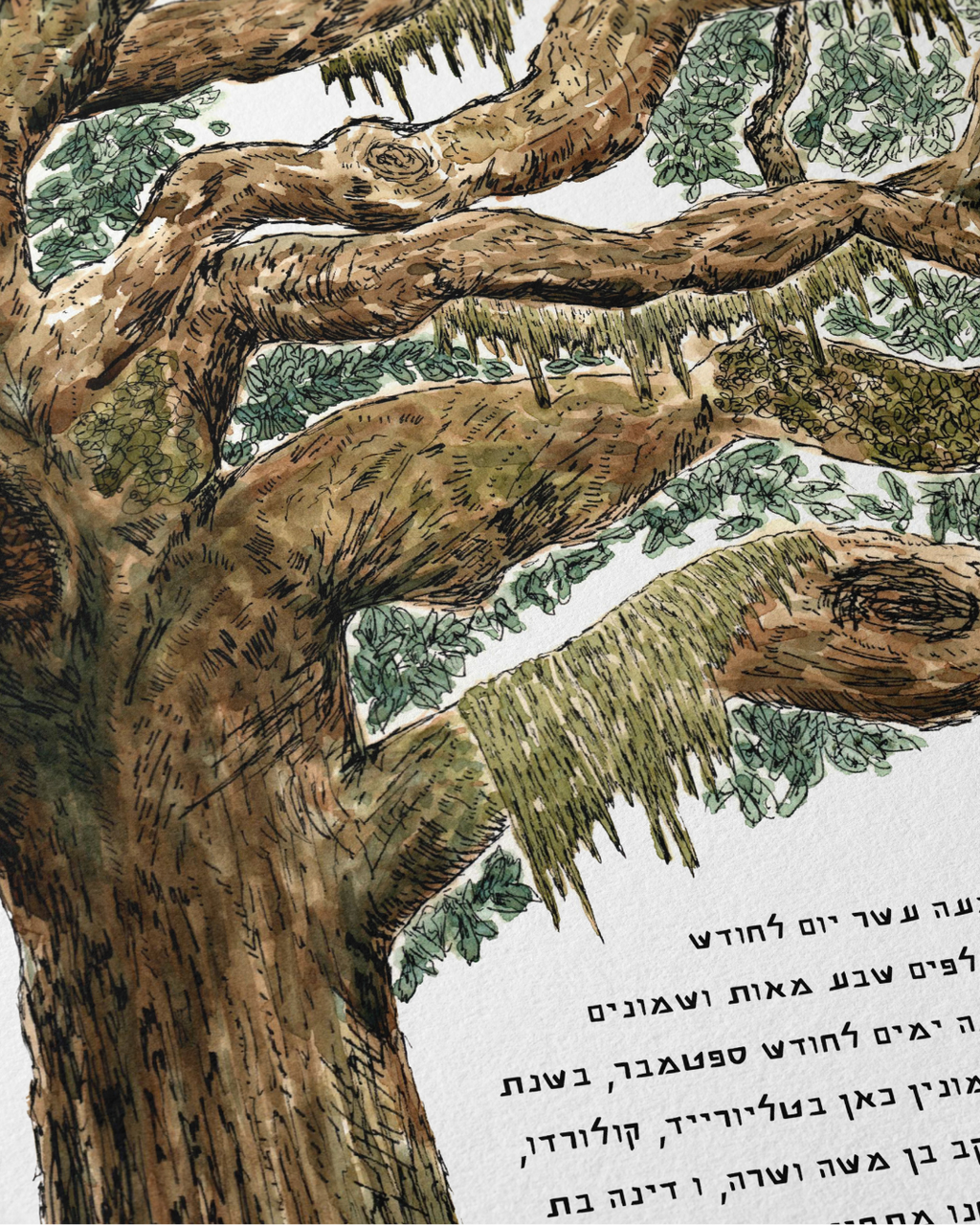 Live Coastal Oak Tree Ketubah