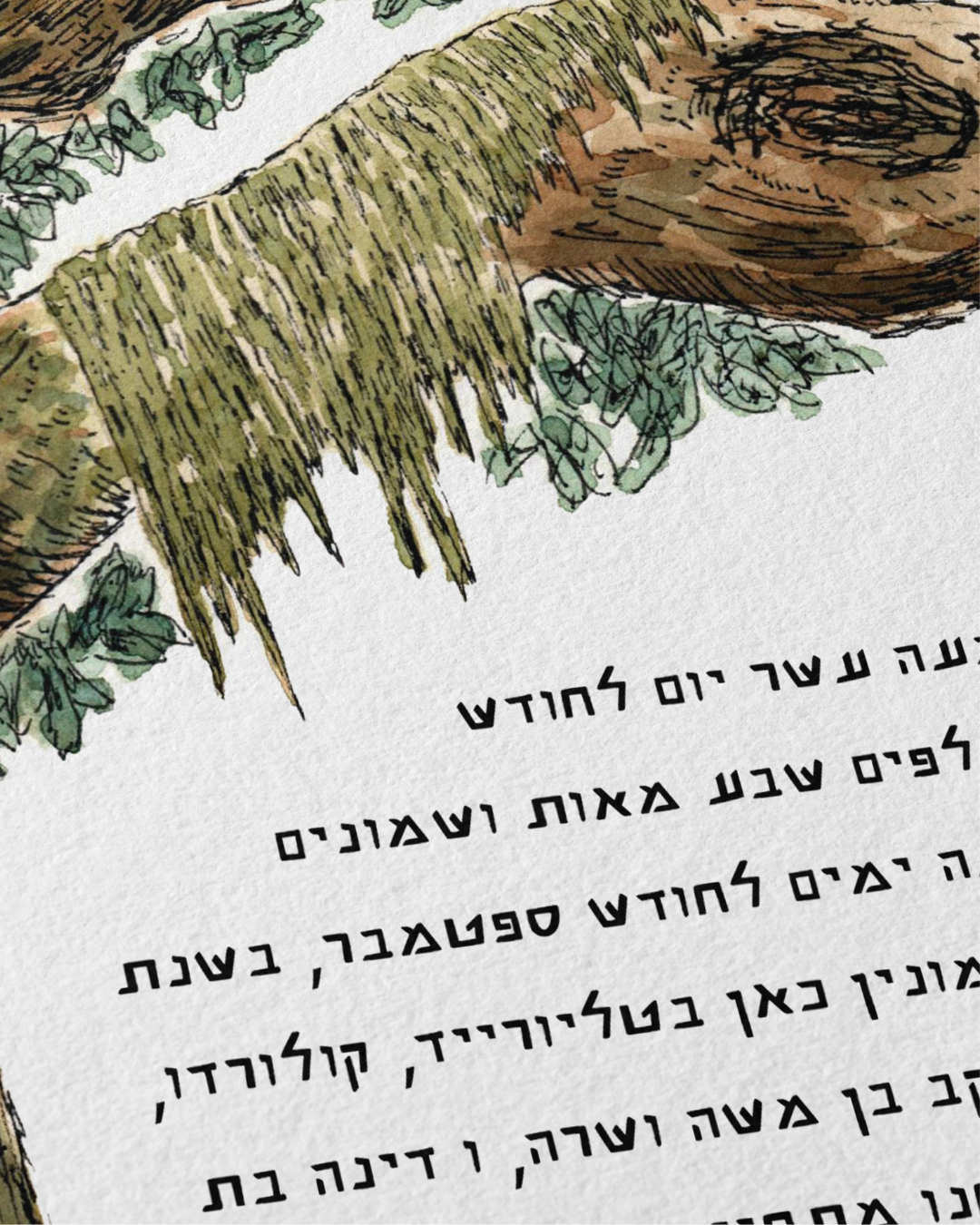 Live Coastal Oak Tree Ketubah
