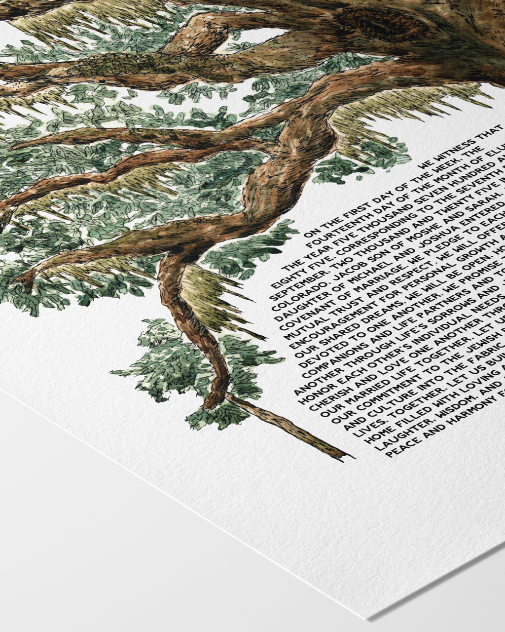 Live Coastal Oak Tree Ketubah