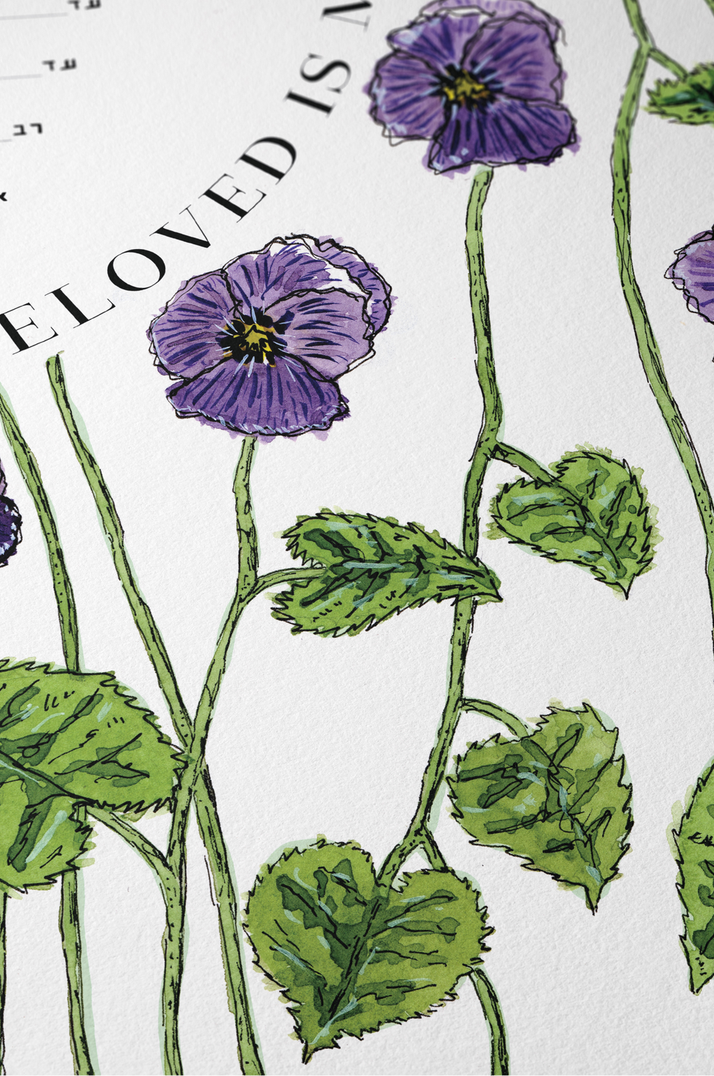 Pansy Ketubah