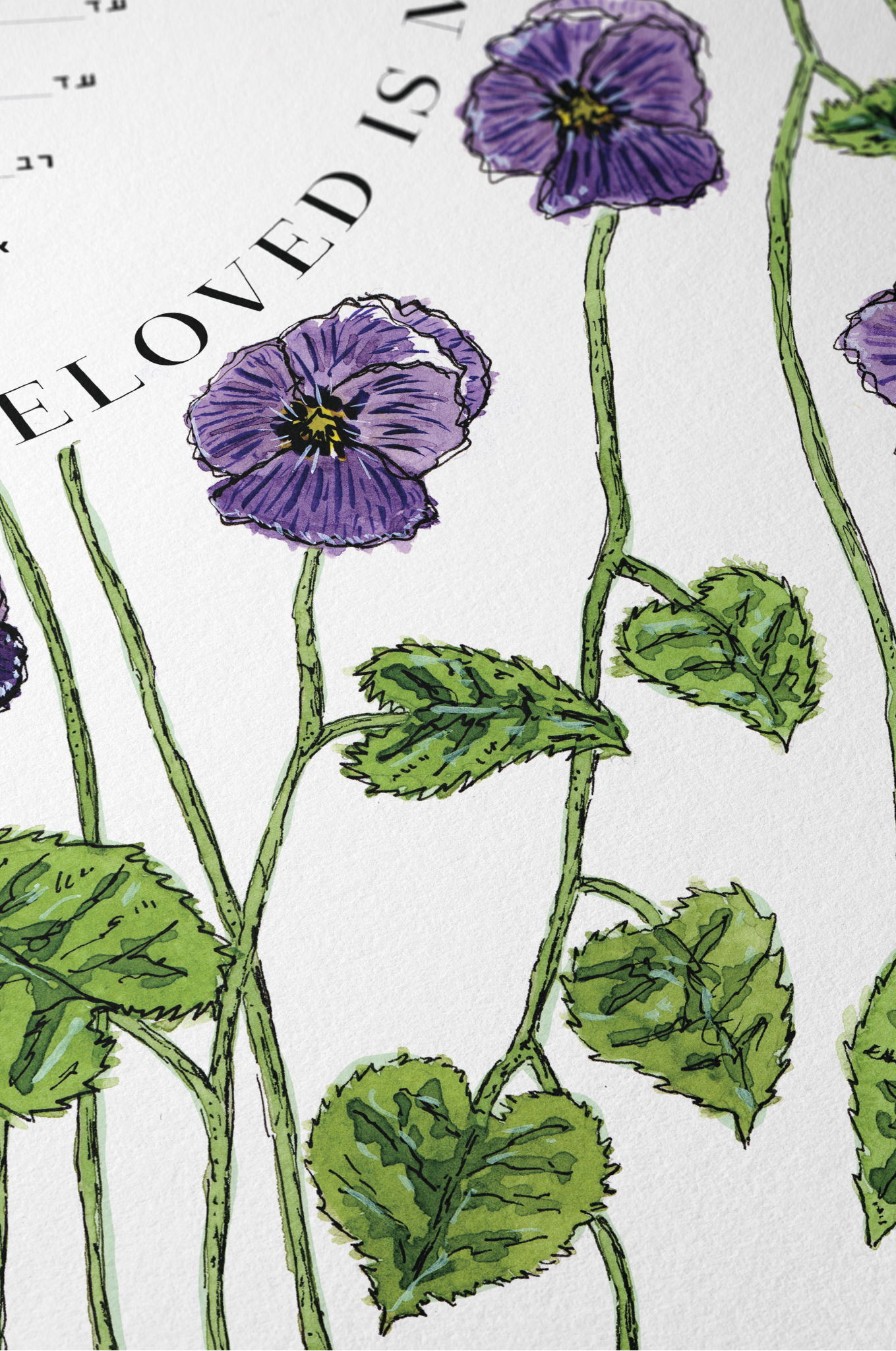 Pansy Ketubah