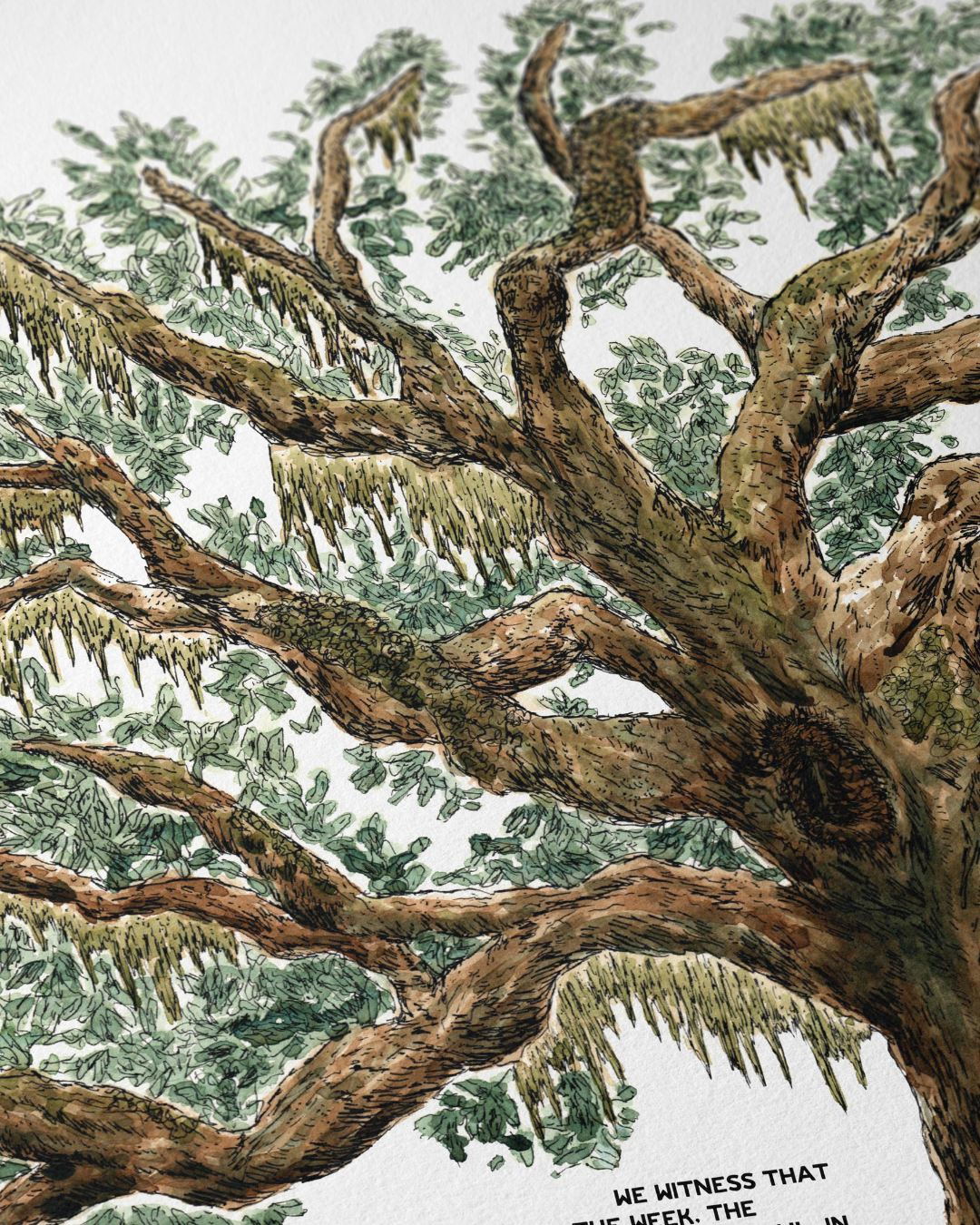 Live Coastal Oak Tree Ketubah