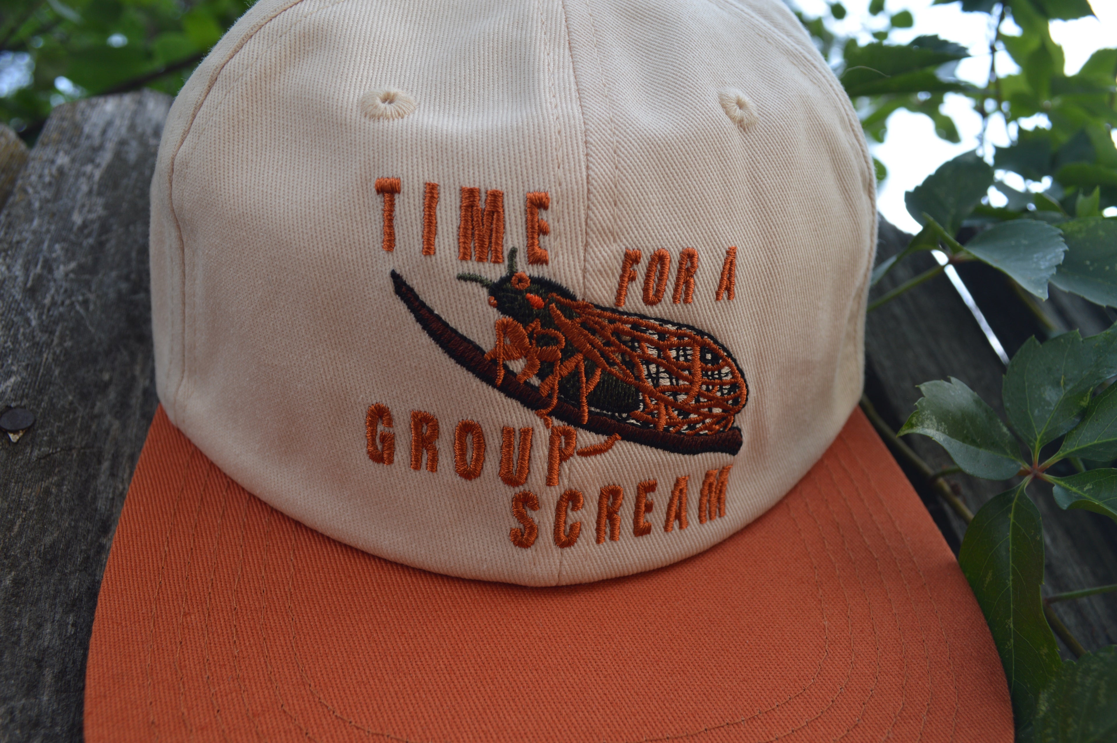 Time For A Group Scream Hat