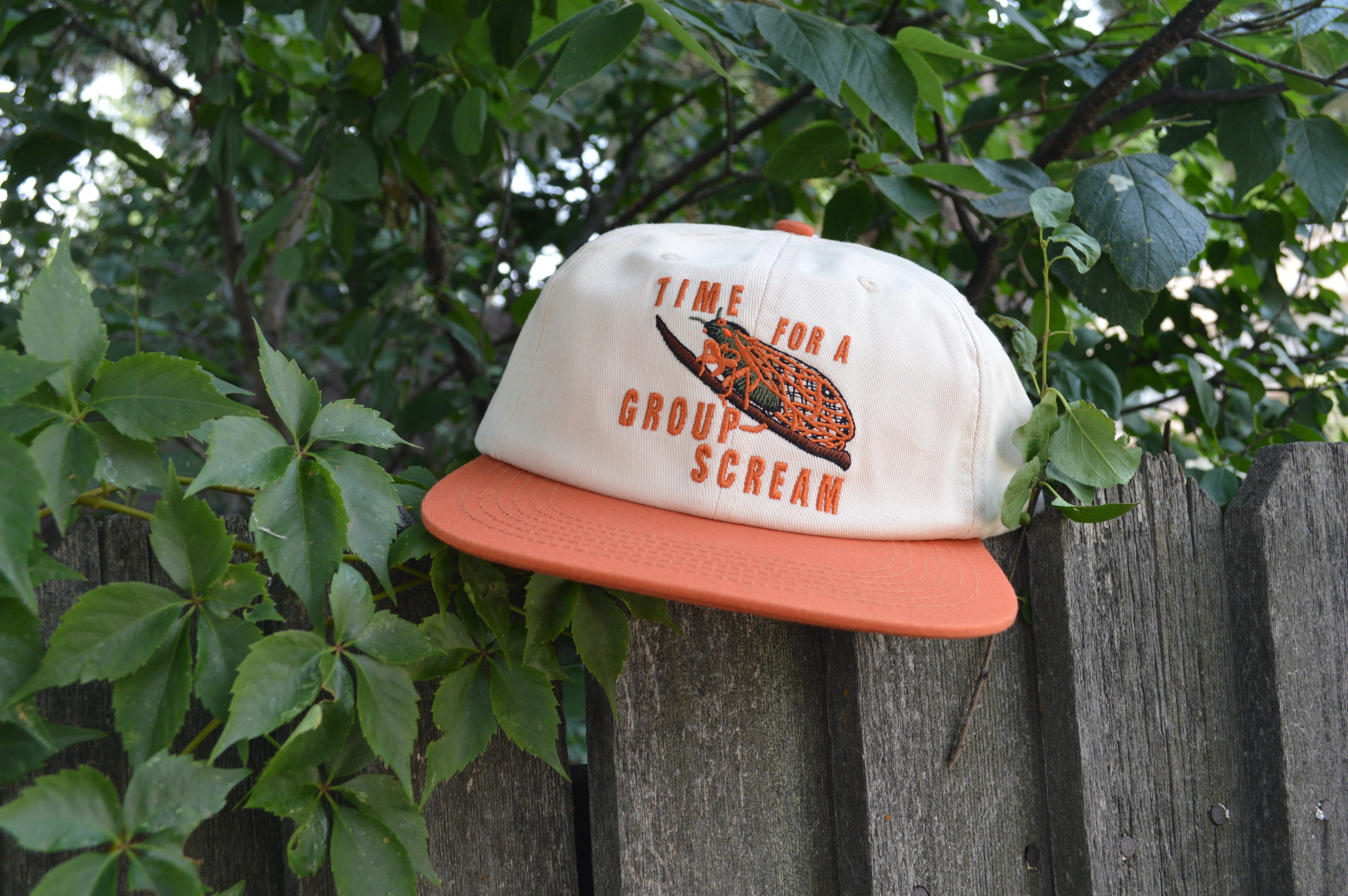 Time For A Group Scream Hat