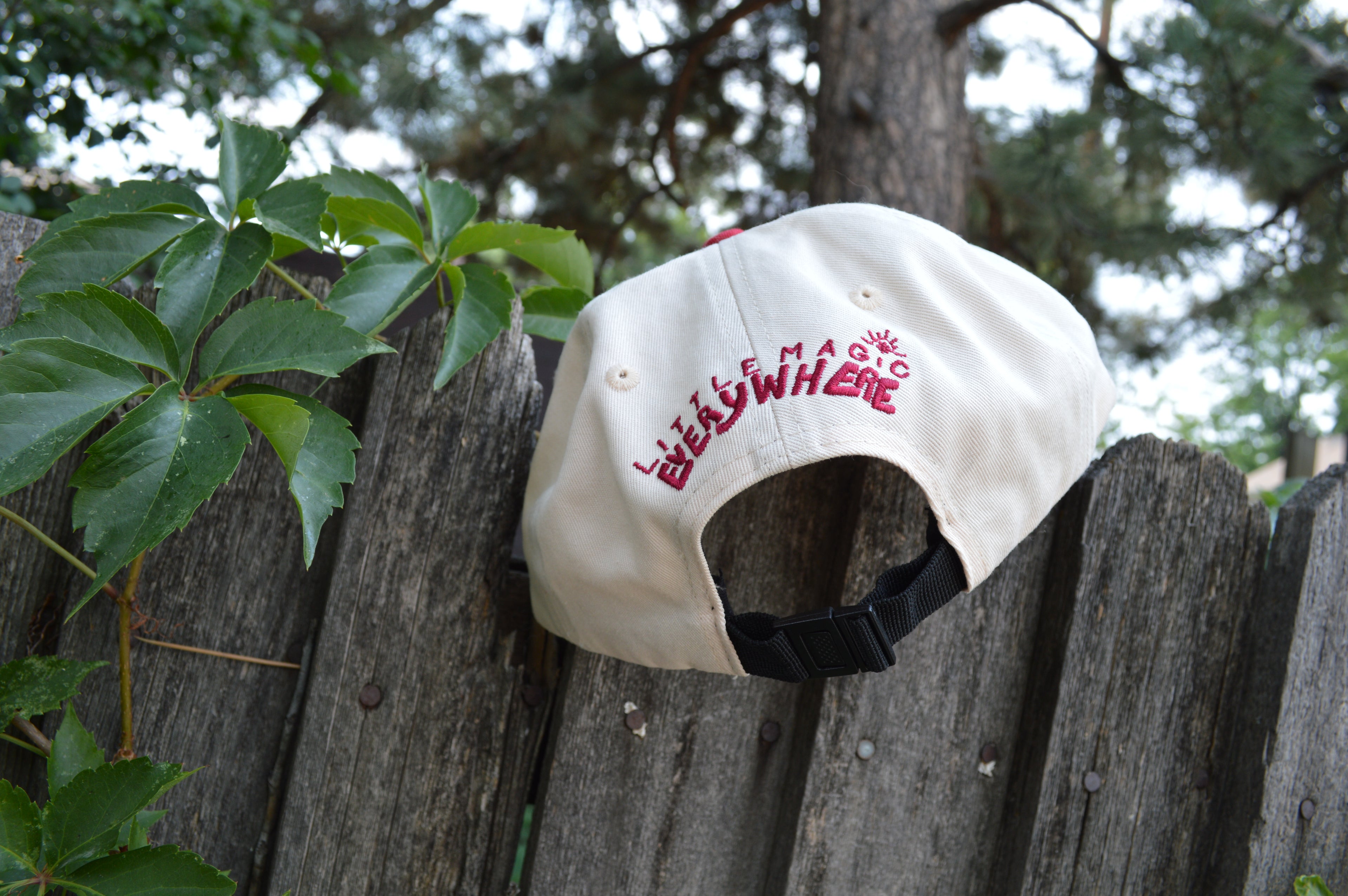 Loons Hat