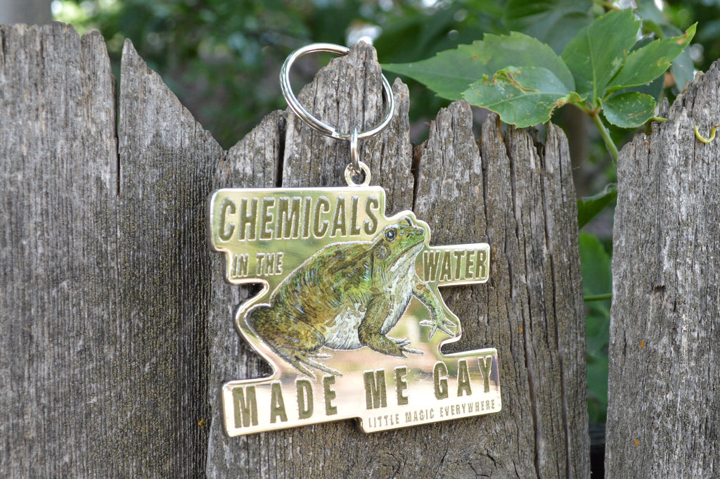 Chemicals In The Water Made Me Gay Keychain