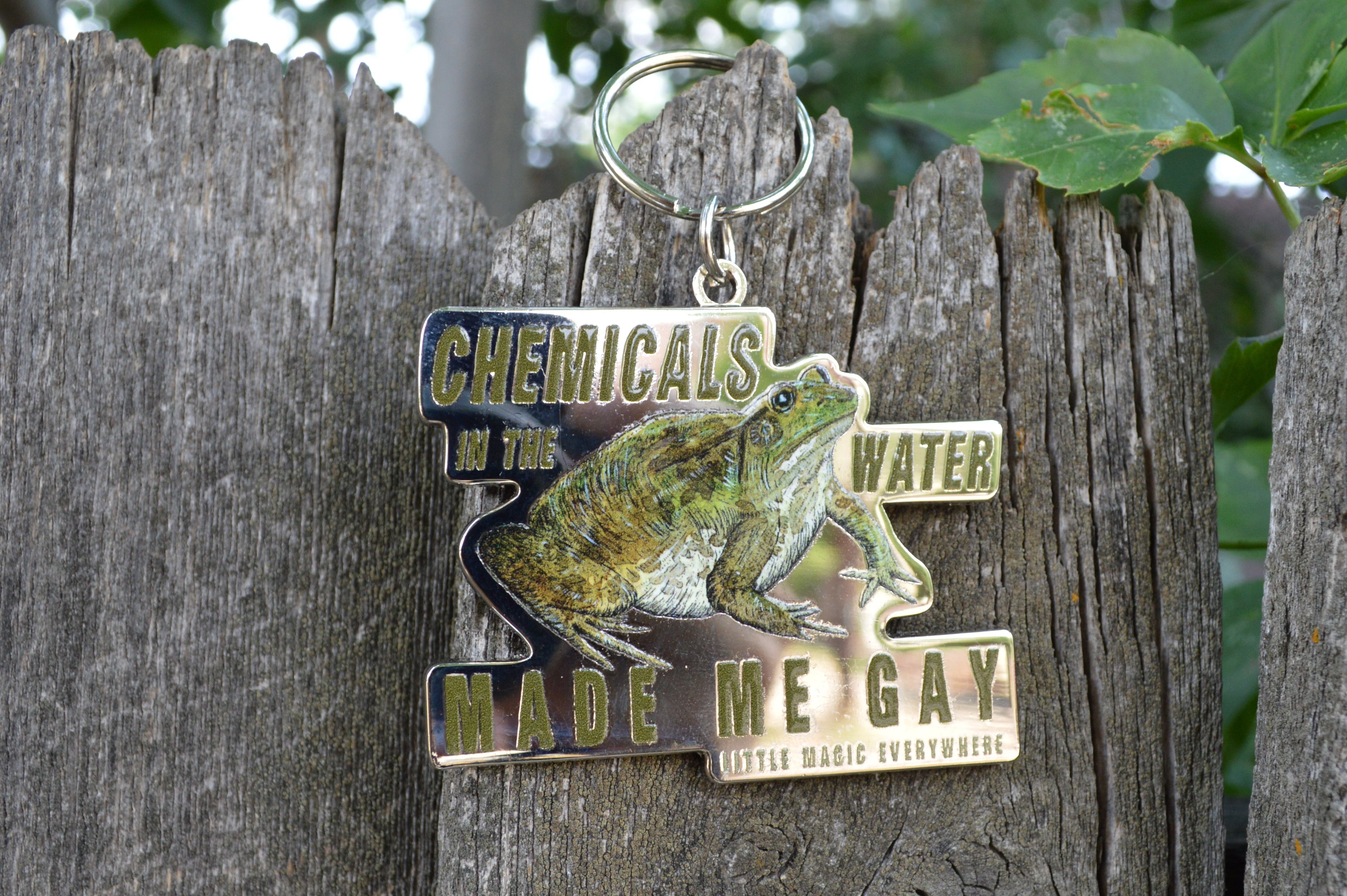 Chemicals In The Water Made Me Gay Keychain