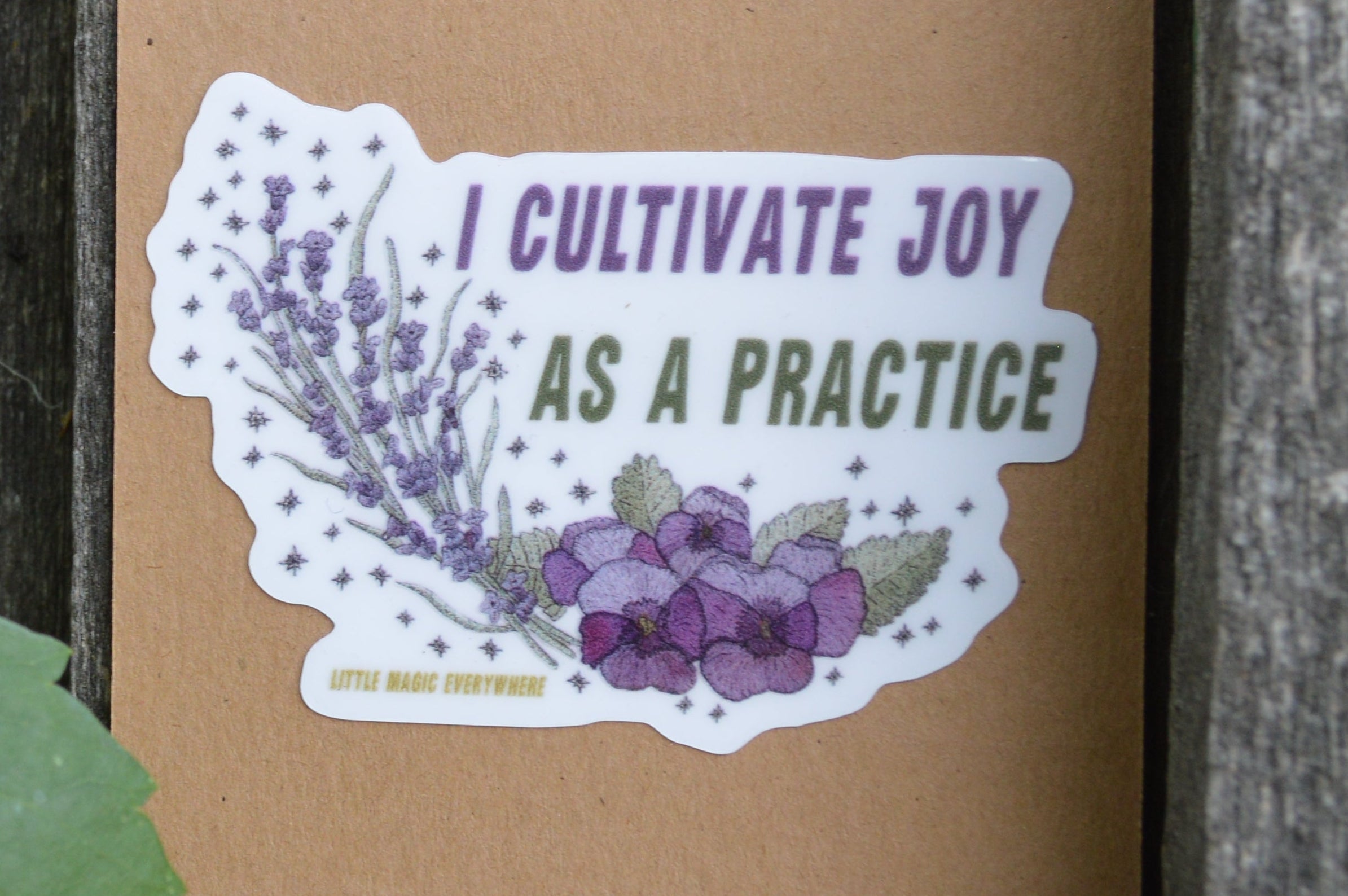 I Cultivate Joy As A Practice Mirror Affirmation