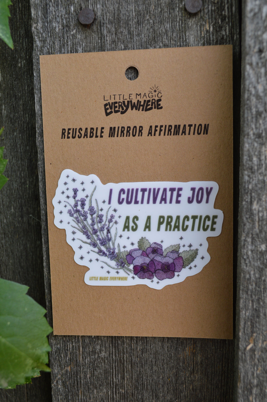 I Cultivate Joy As A Practice Mirror Affirmation