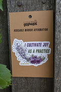 I Cultivate Joy As A Practice Mirror Affirmation
