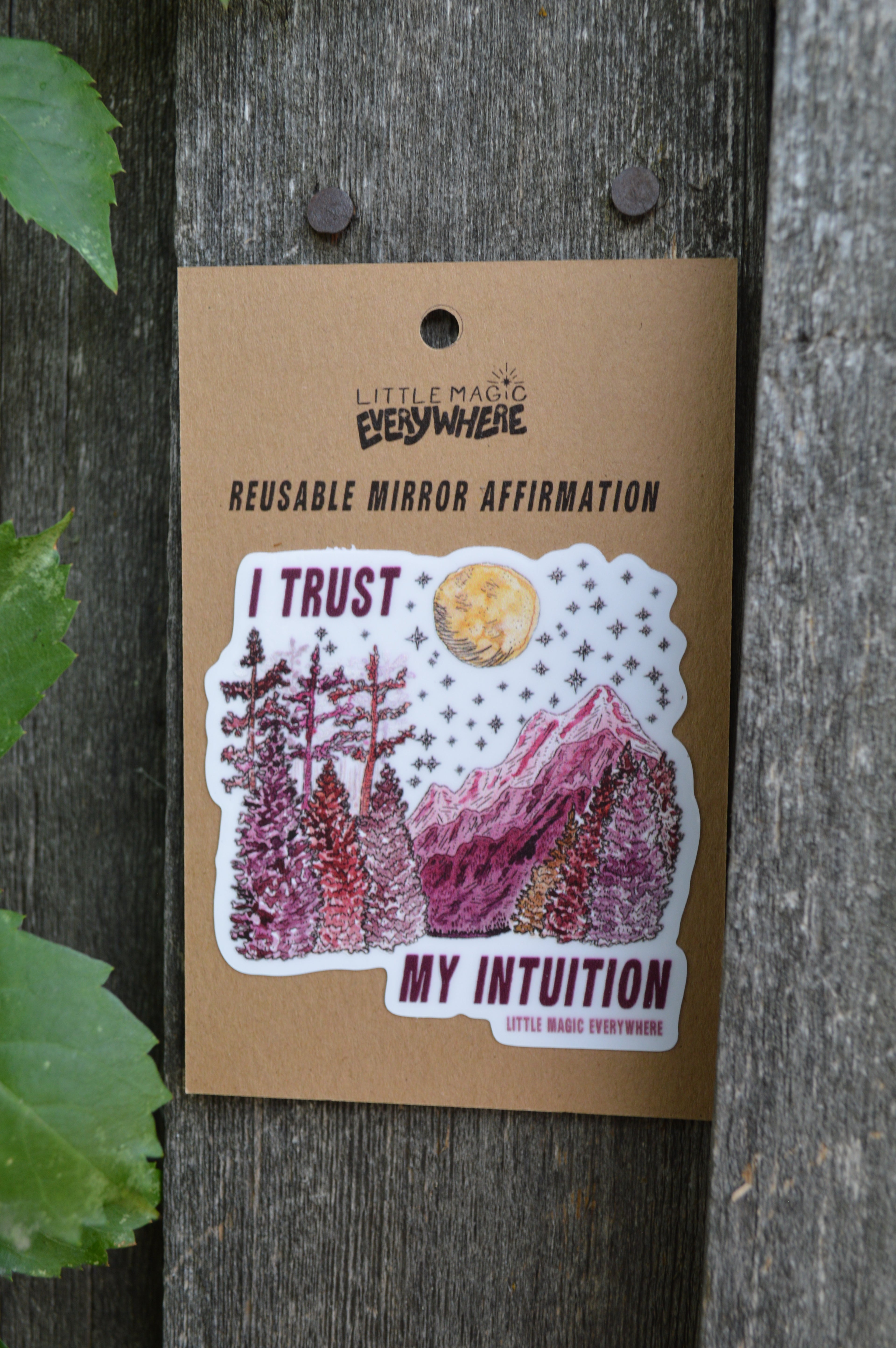 I Trust My Intuition Mirror Affirmation