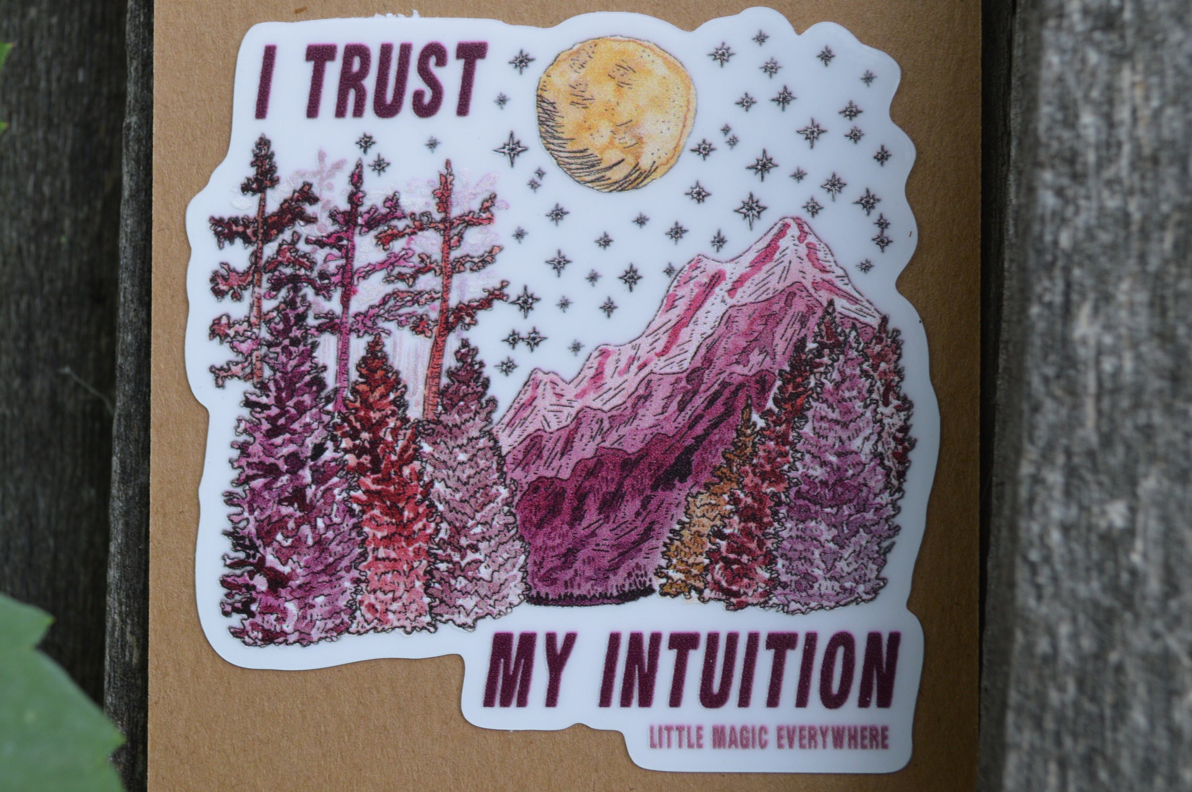 I Trust My Intuition Mirror Affirmation
