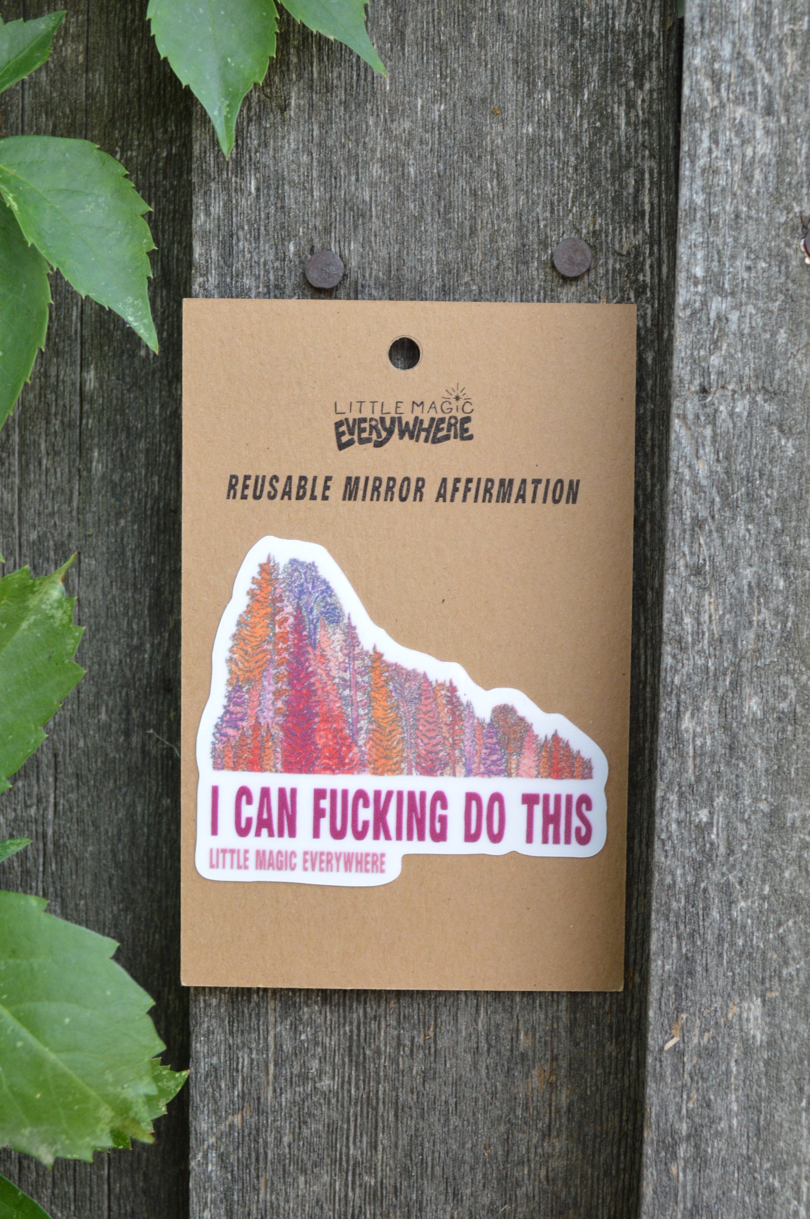 I Can Fucking Do This Mirror Affirmation