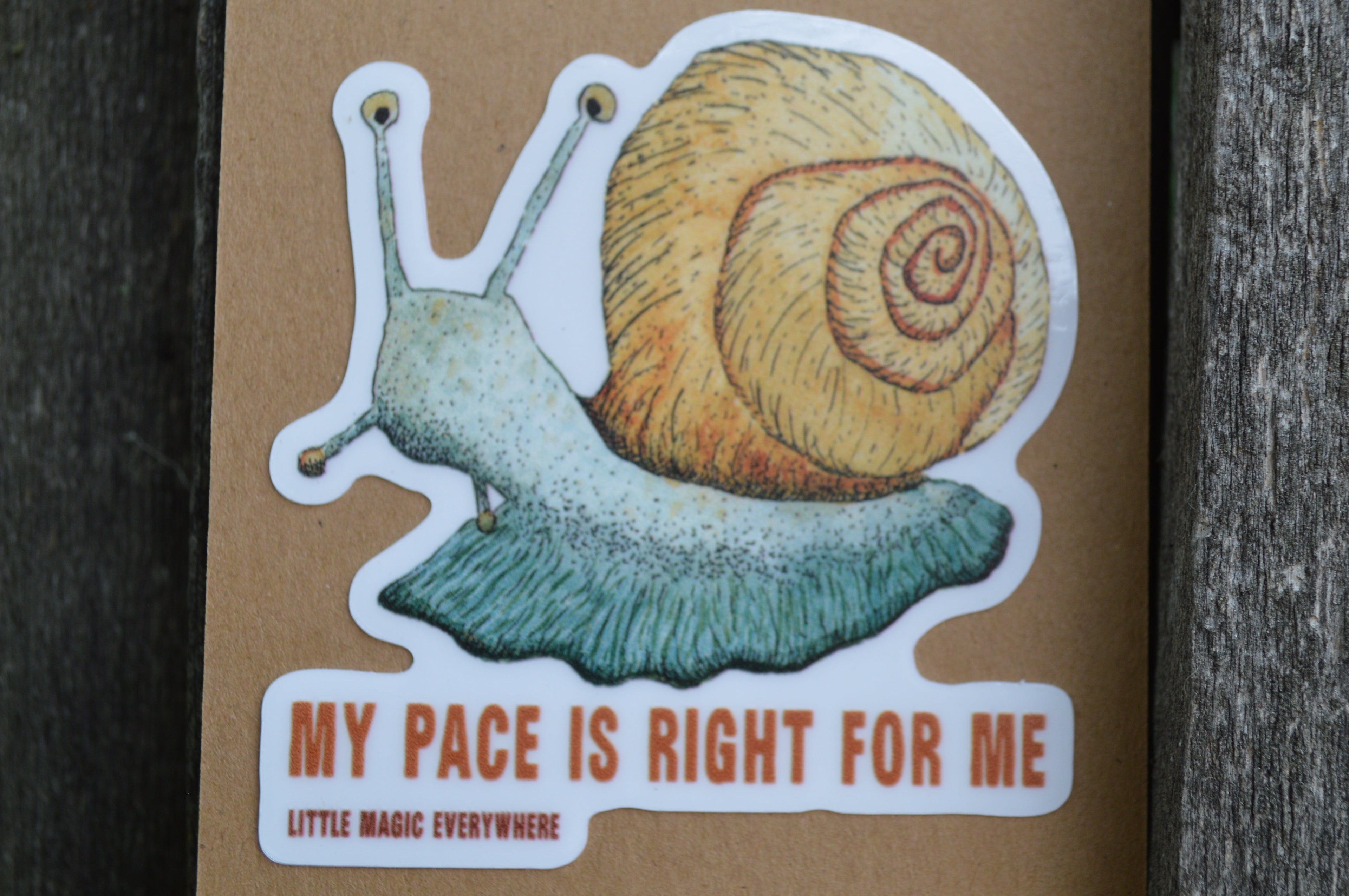 My Pace Is Right For Me Mirror Affirmation