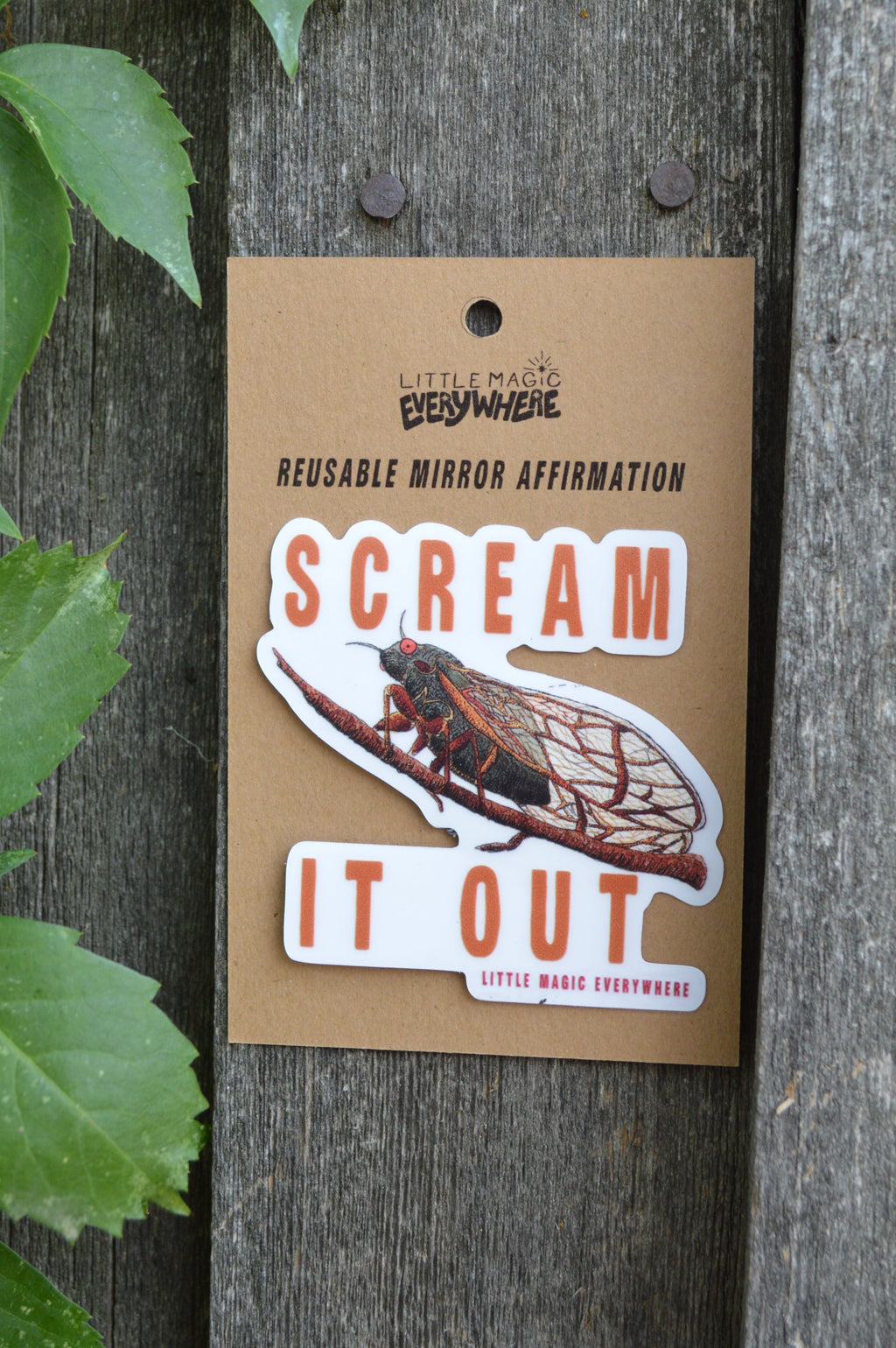 Scream It Out Mirror Affirmation