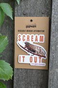 Scream It Out Mirror Affirmation