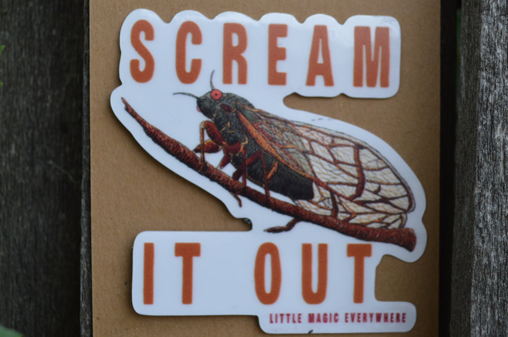 Scream It Out Mirror Affirmation