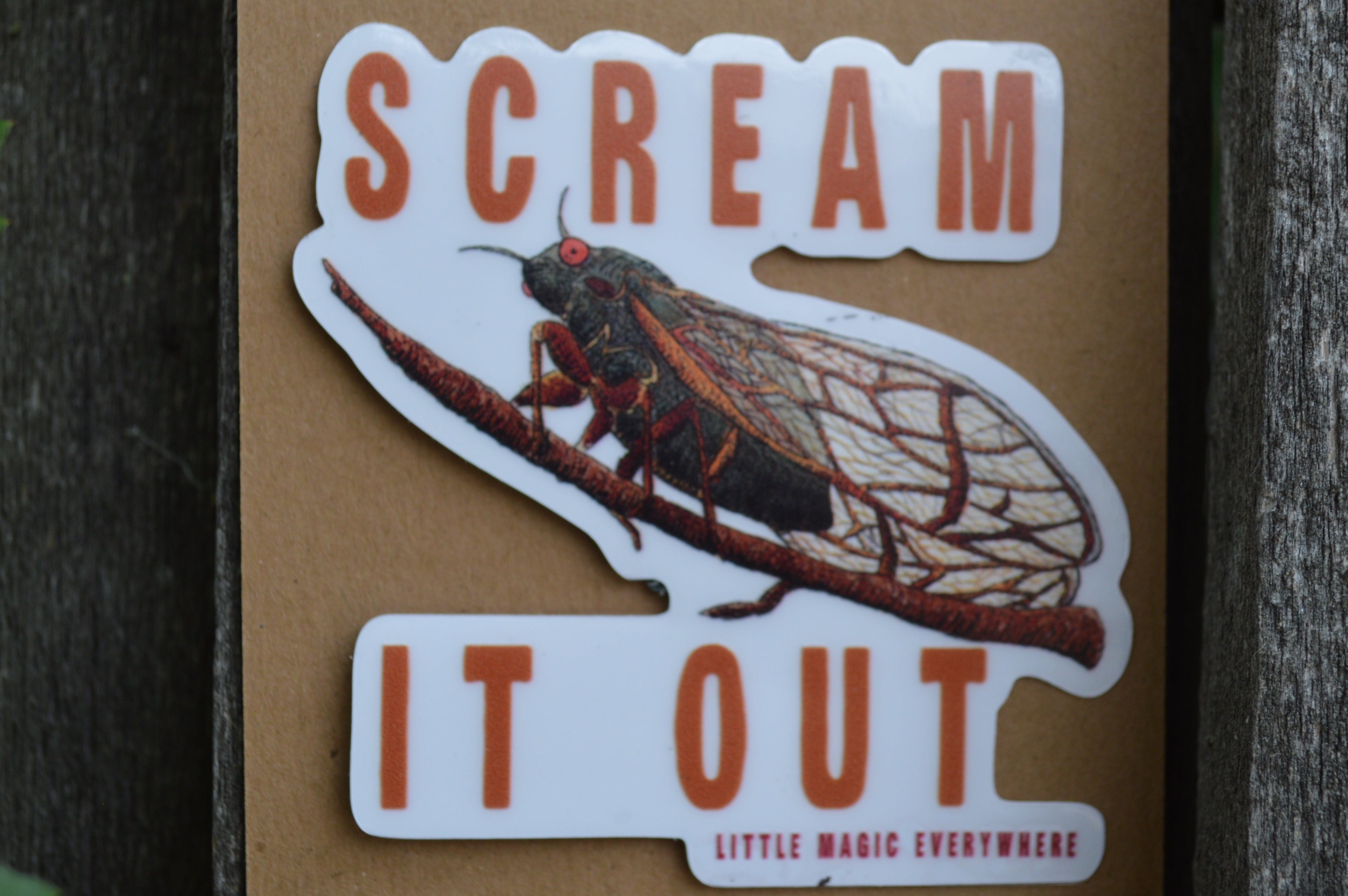 Scream It Out Mirror Affirmation
