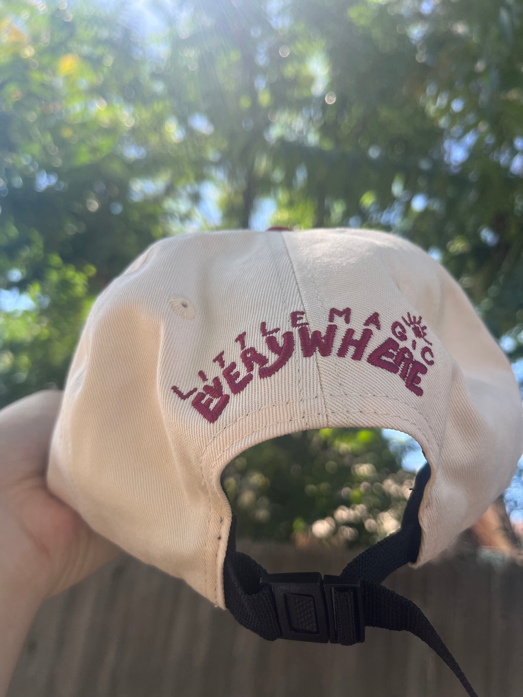 Loons Hat