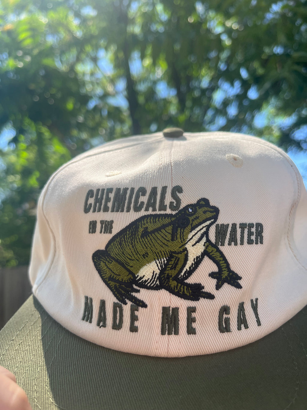 Chemicals In The Water Made Me Gay Hat
