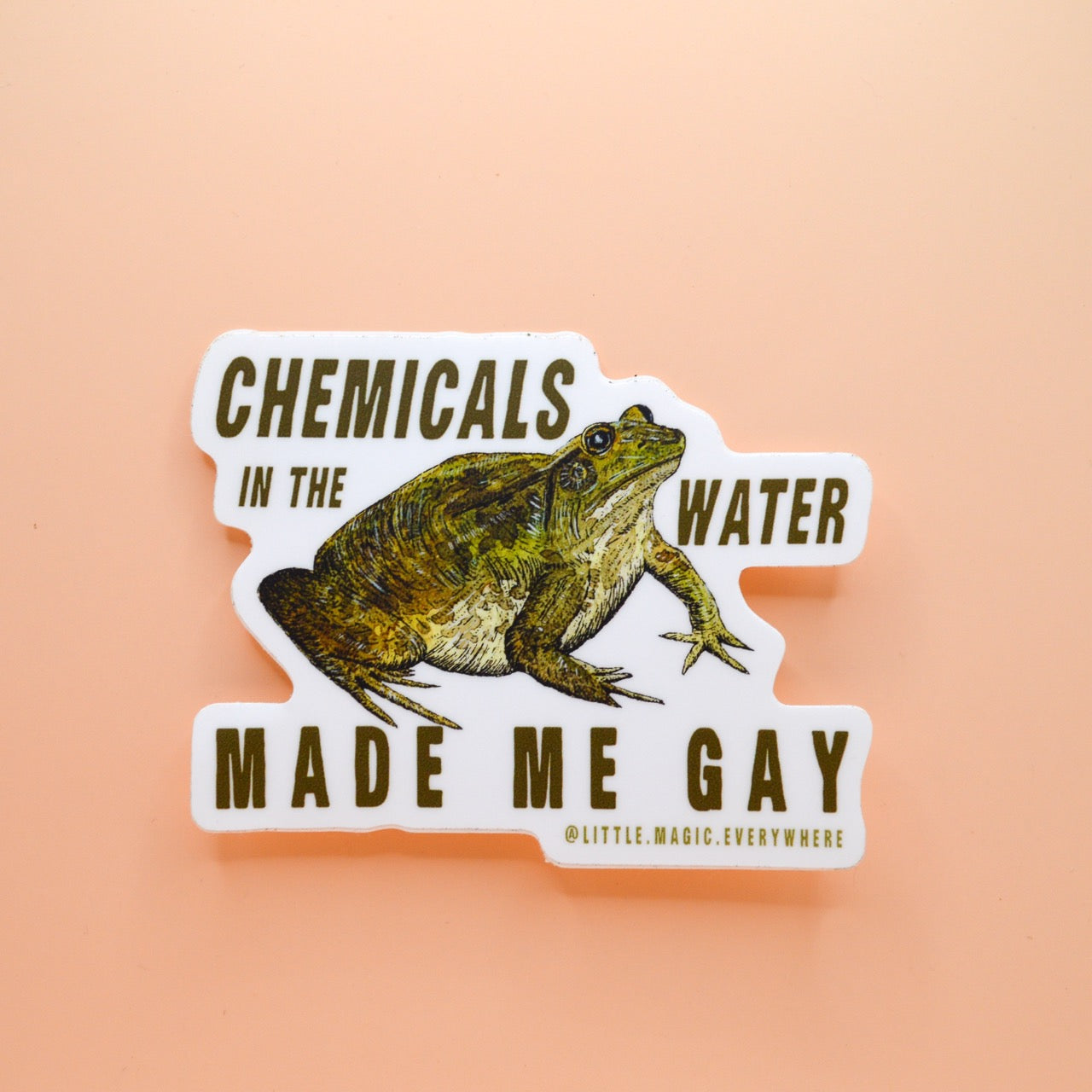 Chemicals In The Water Made Me Gay Sticker