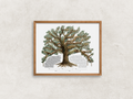 Live Coastal Oak Tree Ketubah