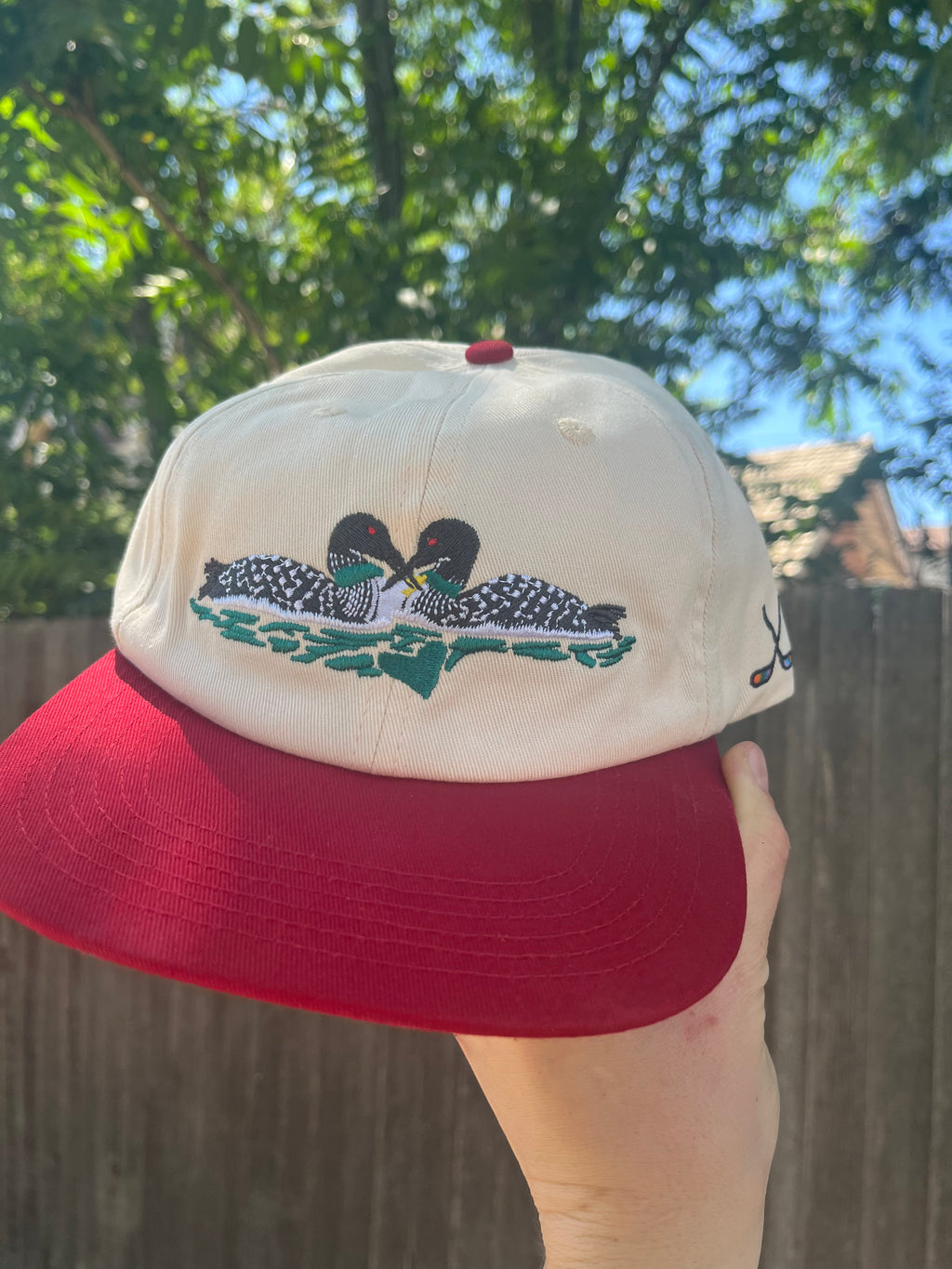Loons Hat
