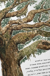 Live Coastal Oak Tree Ketubah