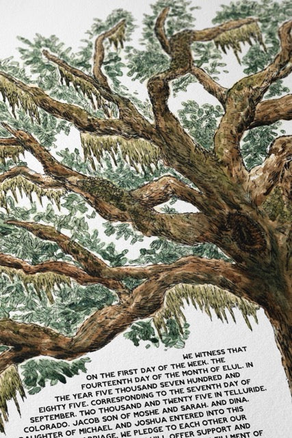 Live Coastal Oak Tree Ketubah