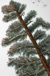 Pine Tree Moon Ketubah